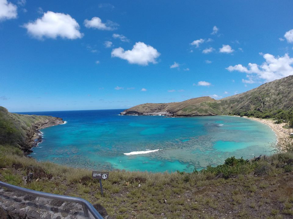 Hanauma Bay Dive Tours Go Hawaii