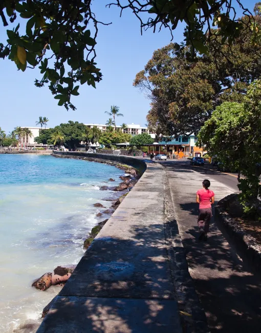 Seaside walkway with a person strolling, bordered by the ocean on one side and trees with buildings in the background.