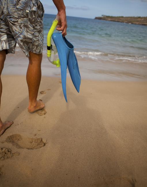 Snorkeling on a sunny day in Lanai