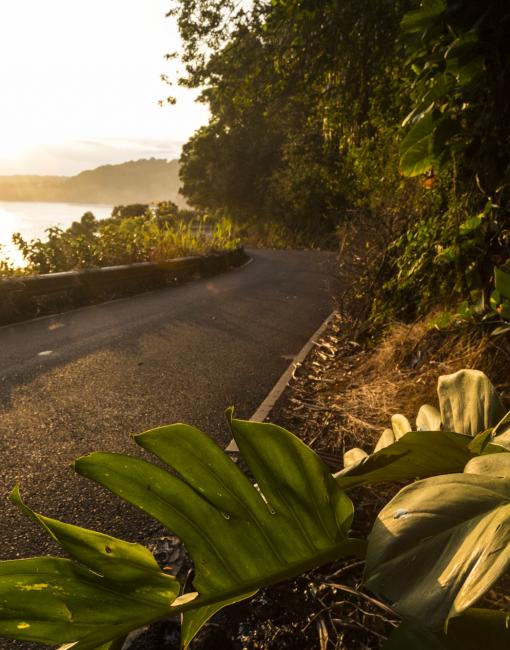 Scenic drive on Maui