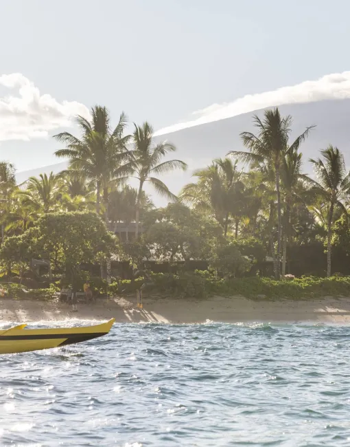 Yellow boat floating near the sandy shore with palm trees in the background