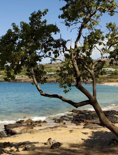 Hulopoe Bay