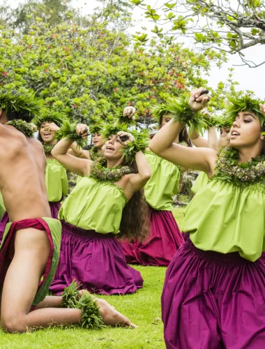 Group of hula dancers in green and purple outfits performing outdoors under a tree.