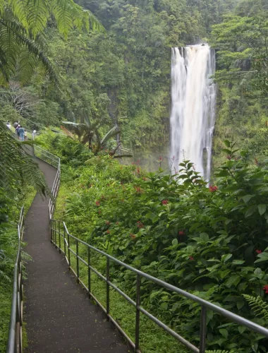 Trail through park in Hawaii