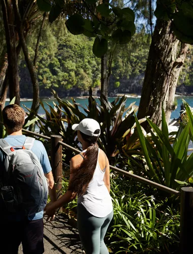 Land Activities Backpackers hiking through a lush Hawaiian forest trail with towering trees.