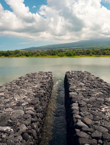 Kaloko-Honokōhau National Historical Park Kaloko-Honokohau National Historical Park