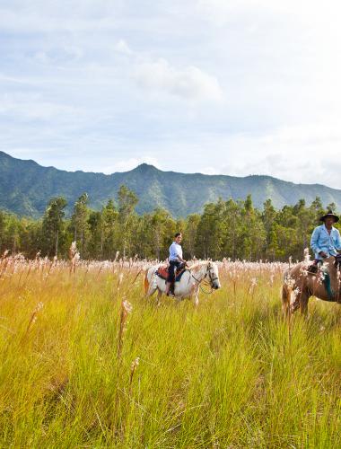 Horseback Riding