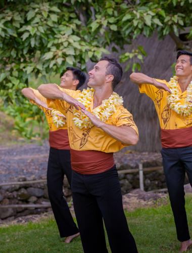 La hula girl hawaiienne, de la danse traditionnelle à l'icône touristique -  Windsurf Journal - 27/05/2023