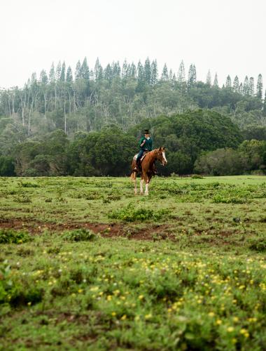 Lanai Brochure Link Lanai Brochure Link