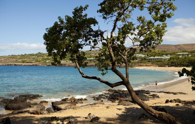 Lanai Beaches