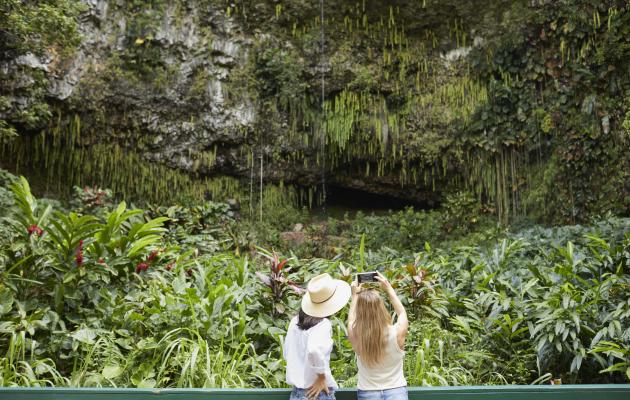 Find More Things to Do on Kauai Find More Things to Do on Kauai