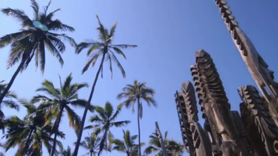 Video Needs a Title