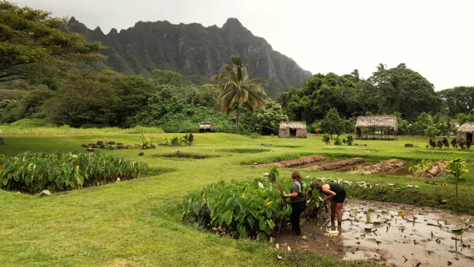Sam Harris Island of Oahu Sam Harris Island of Oahu