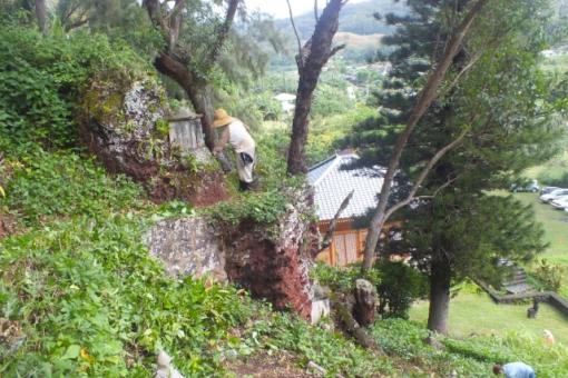 Caring for Lawai