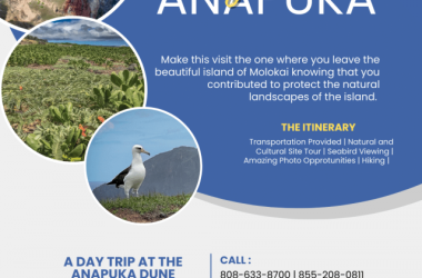Anapuka Dune Restoration Tour, Mokio Preserve