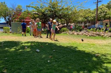 Summer Program