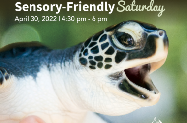 Sensory Friendly Saturday