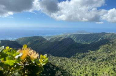 Oahu Events Calendar: Shows Exhibits Festivals More Go Hawaii