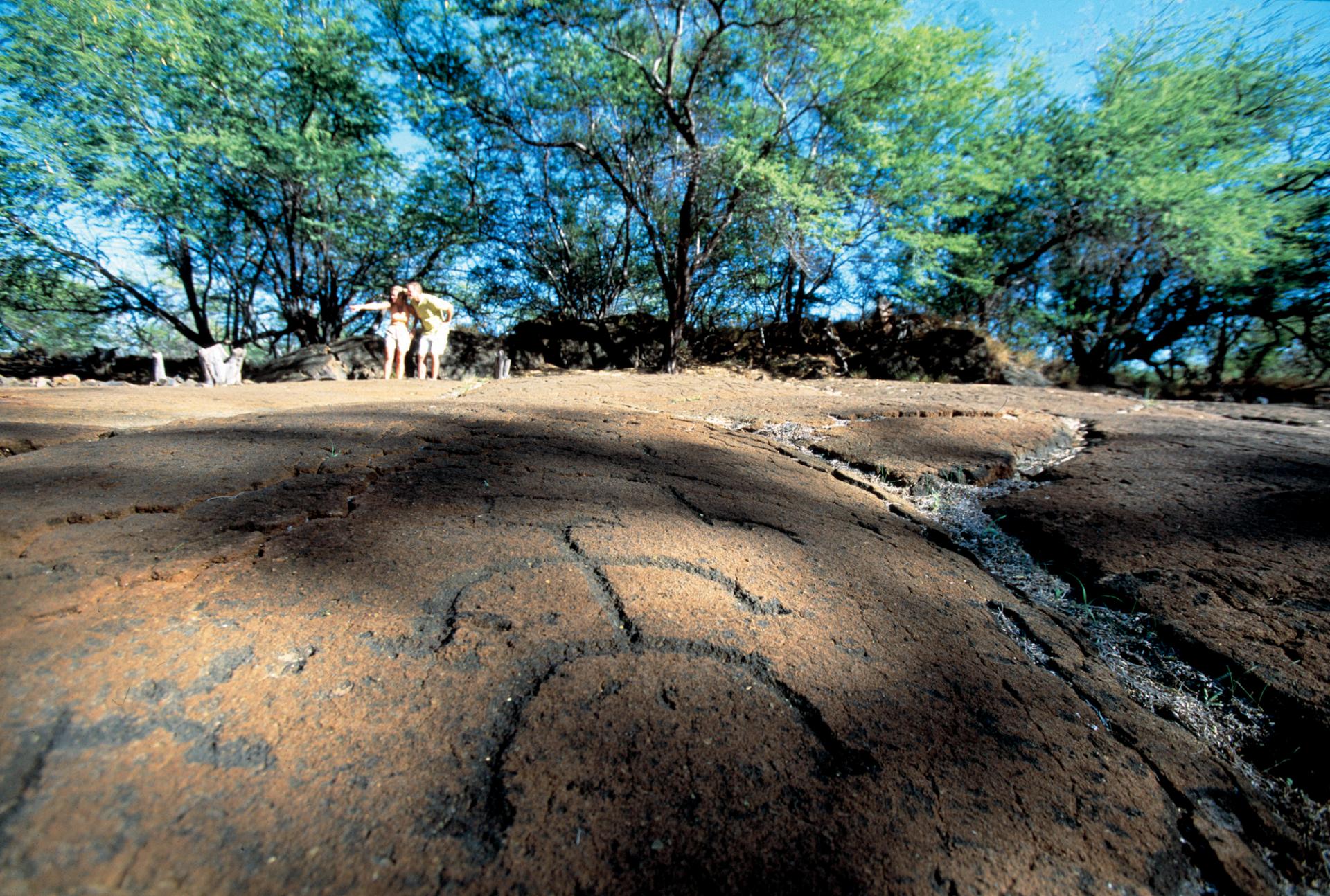 Puako Petroglyphs