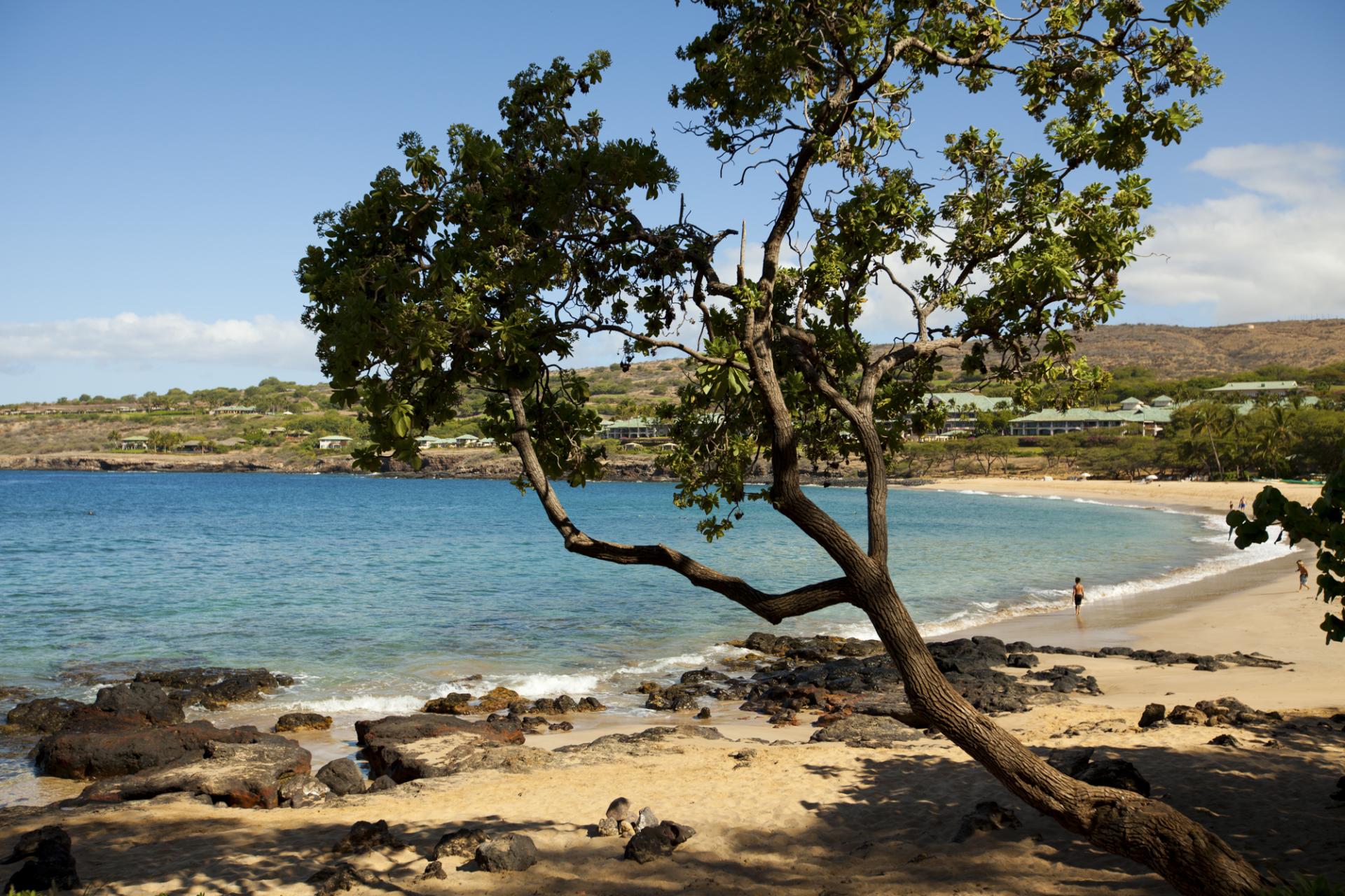 Scenic beach on the Hawaiian island of Lanai