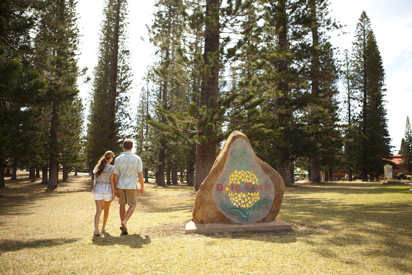 Central Lanai