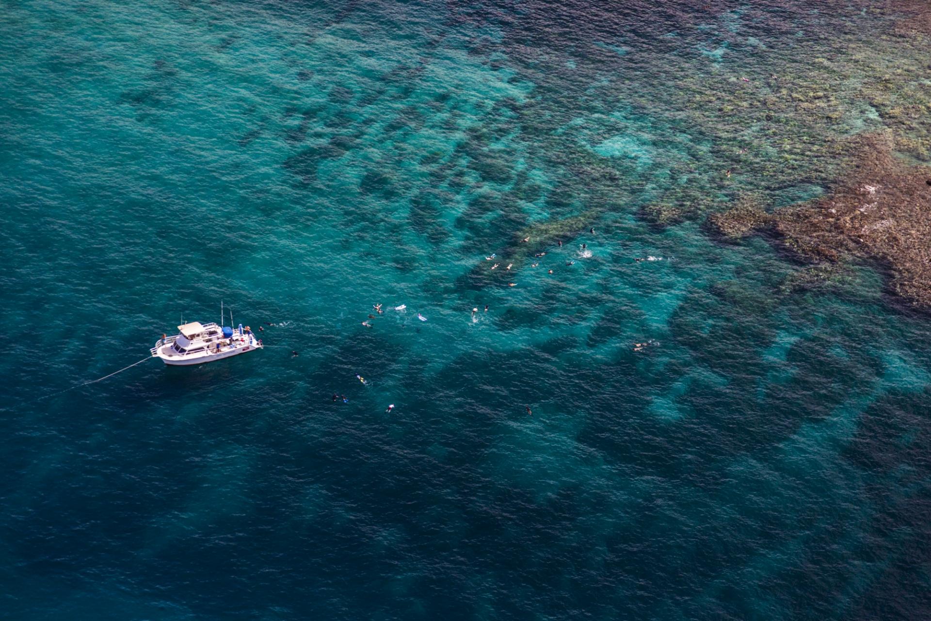 Scuba & Snorkeling