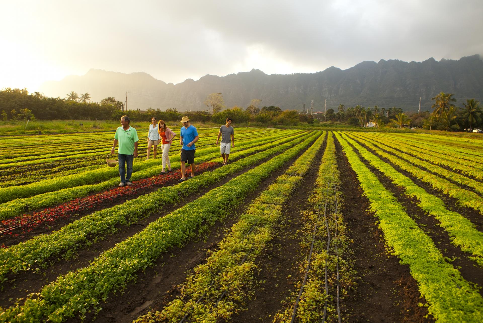 agriculture and tourism