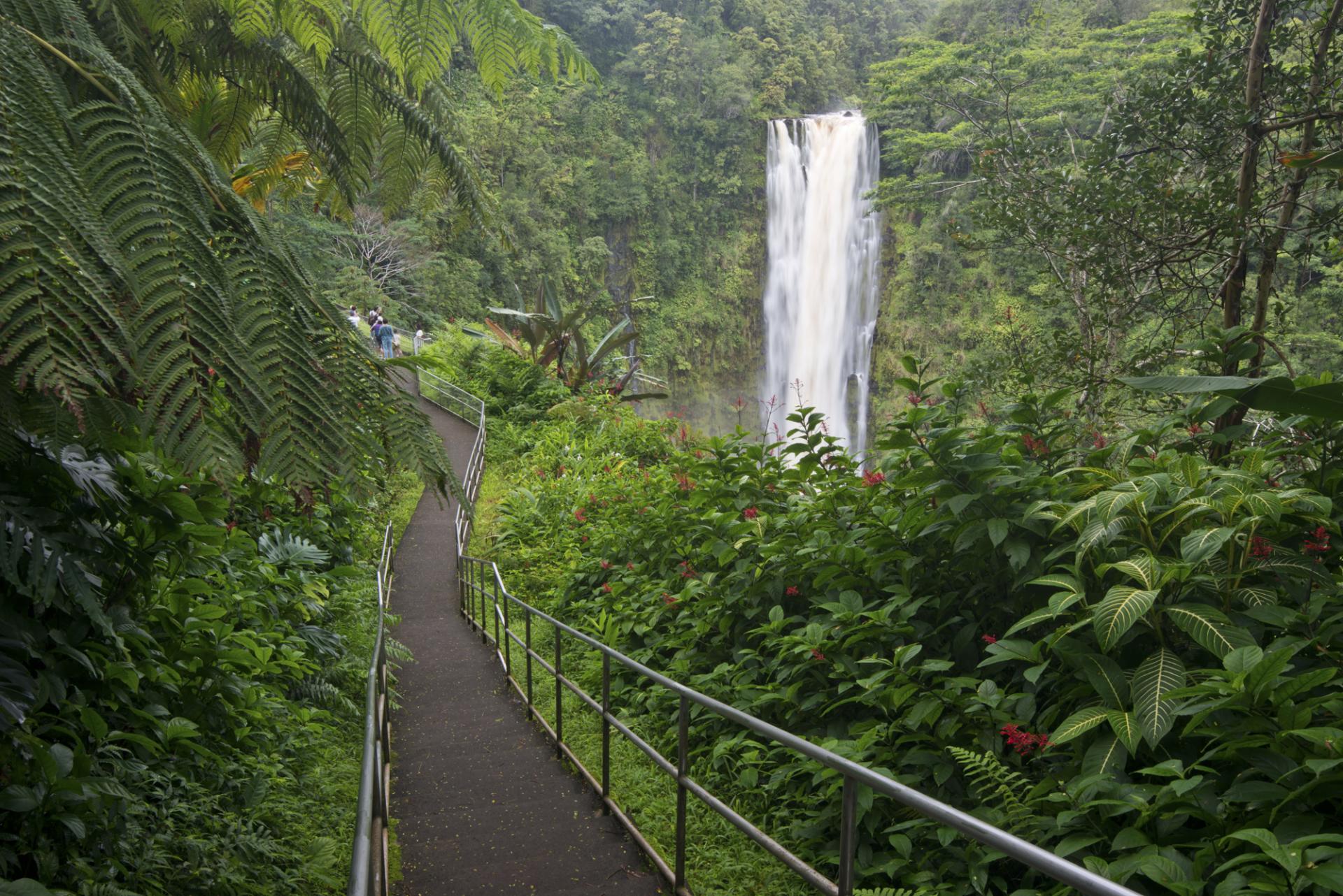 ʻAkaka Falls Akaka Falls