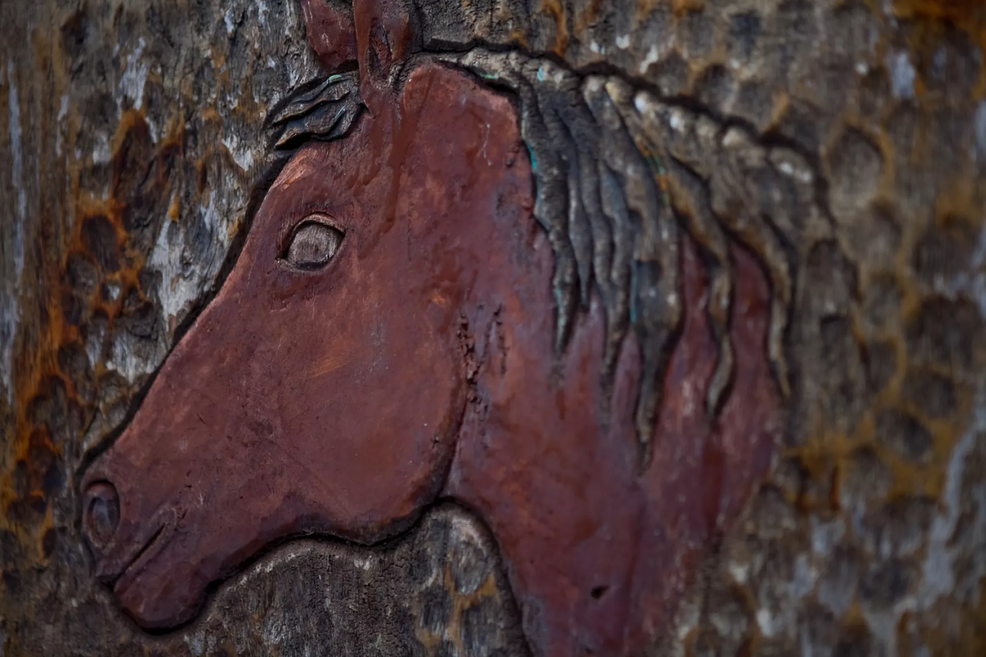 Horseback Riding