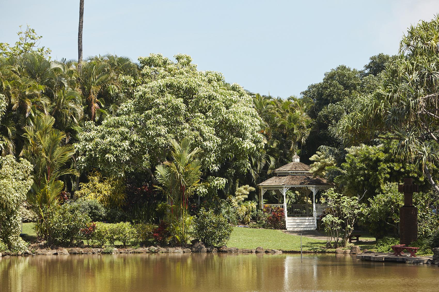 Central Maui