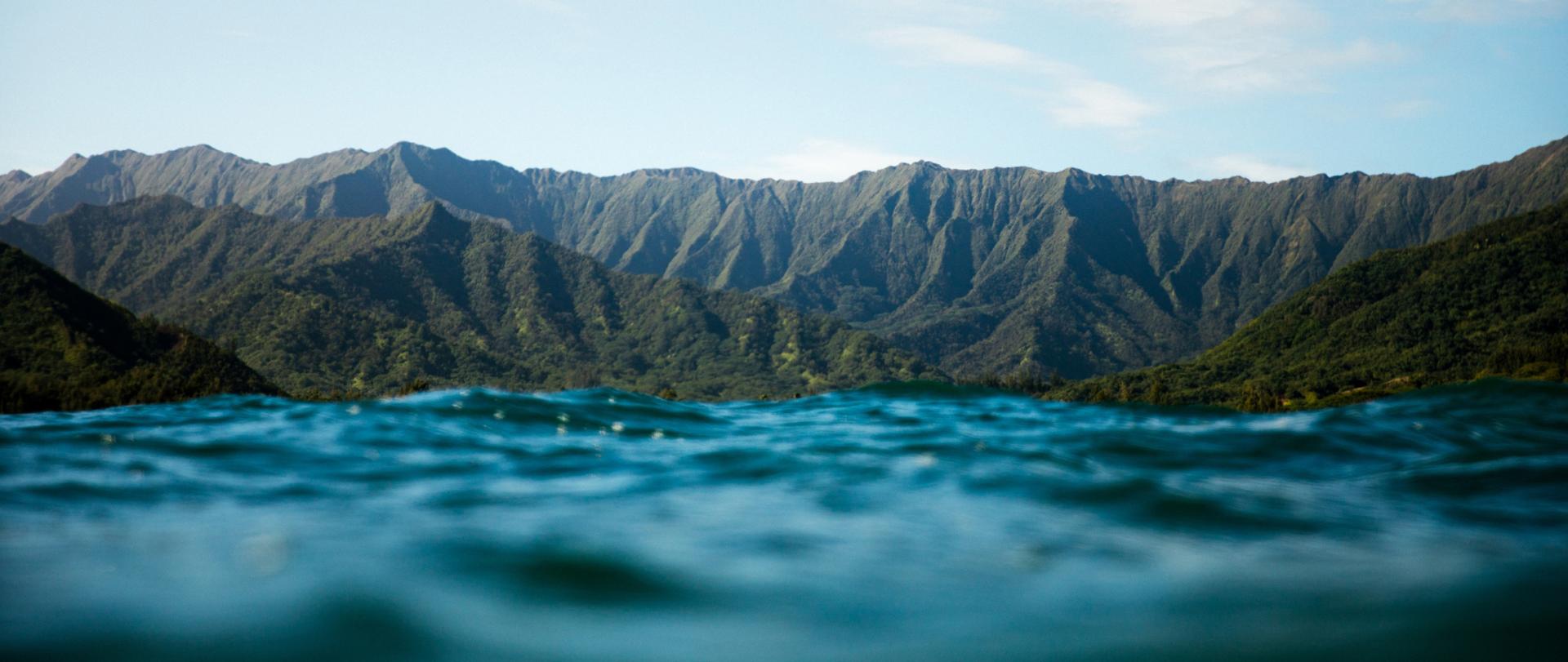ハワイ州観光局 ハワイの旅行情報 Go Hawaii