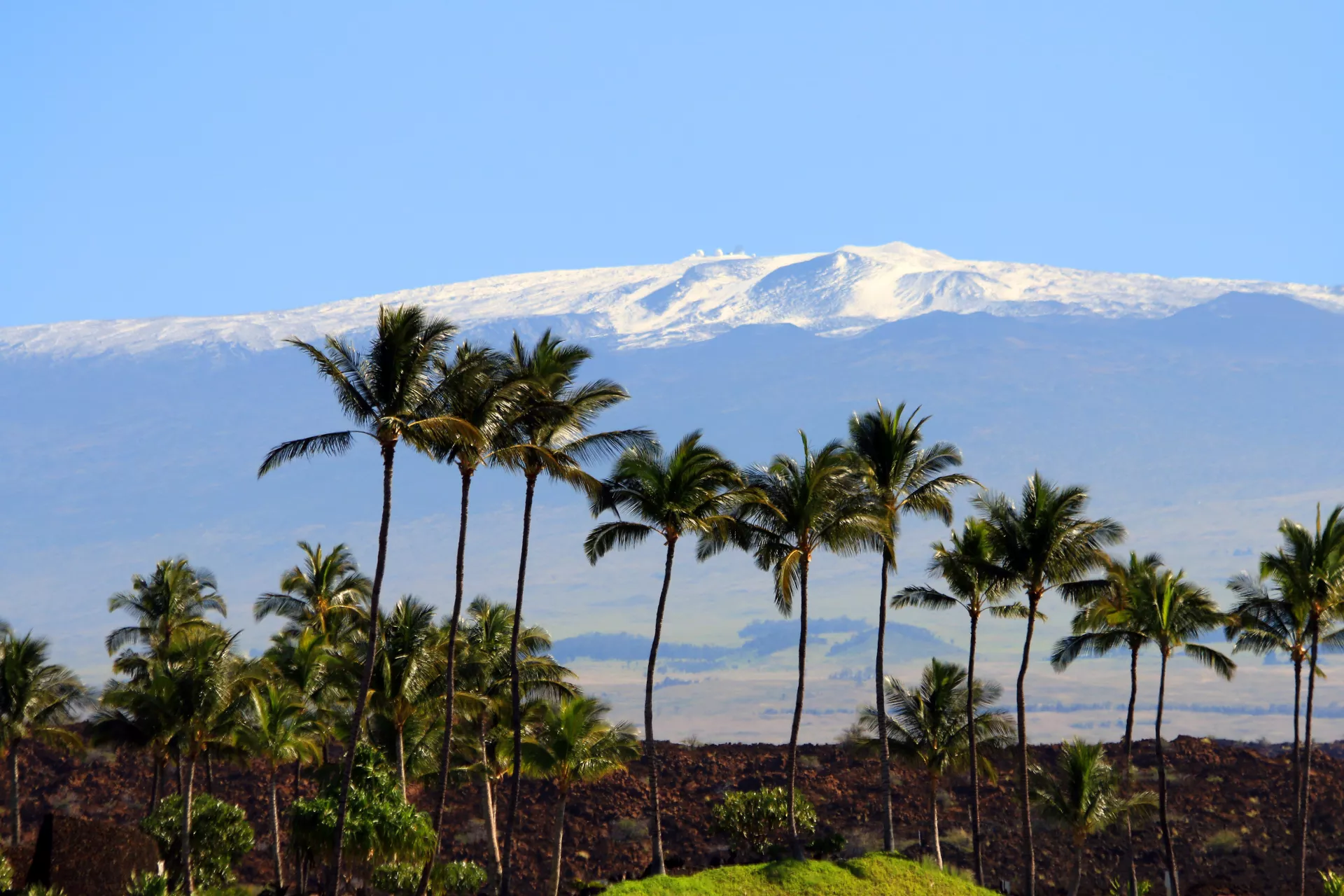 Snow topped Maunakea from the Kohala Coast