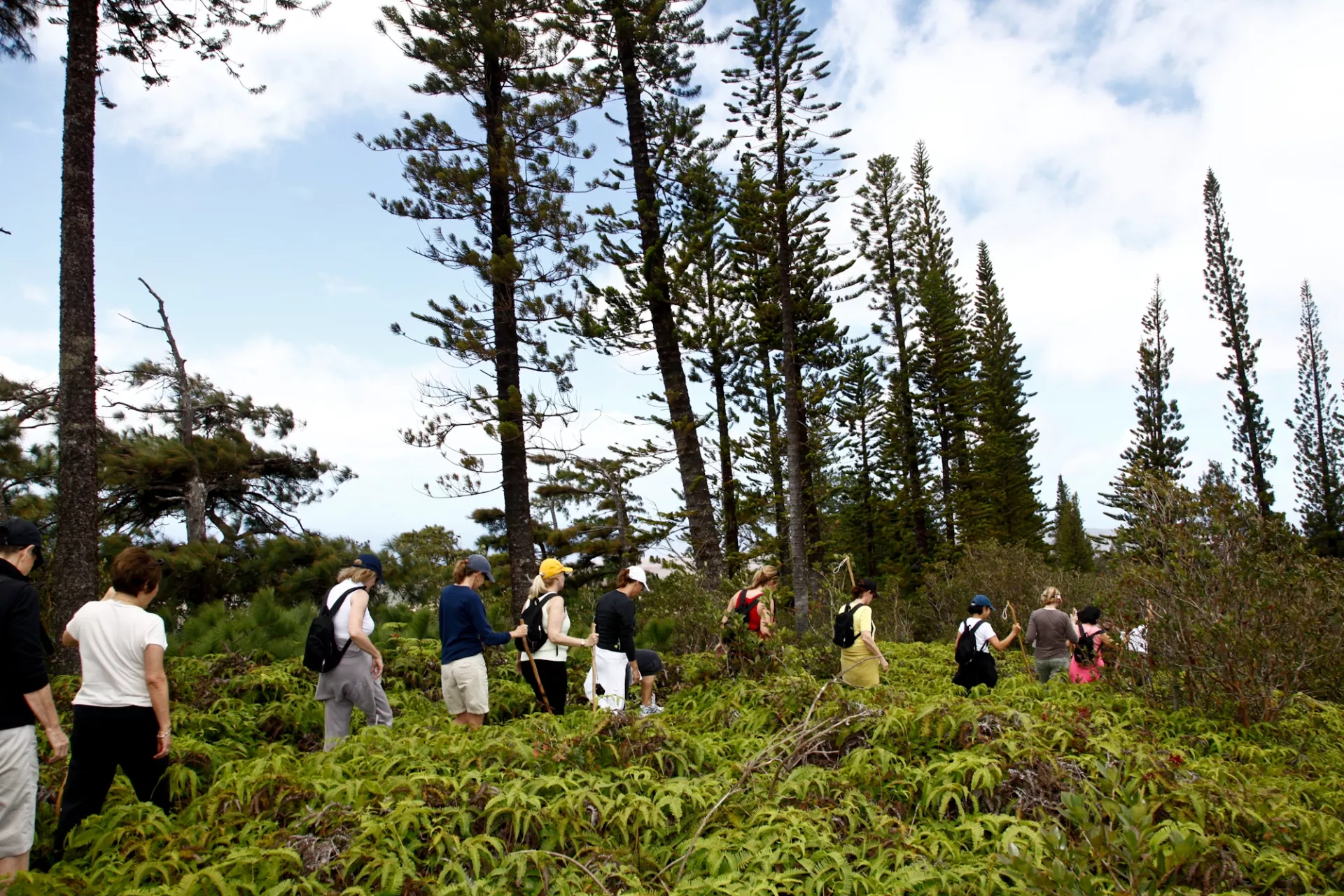 Munro Trail