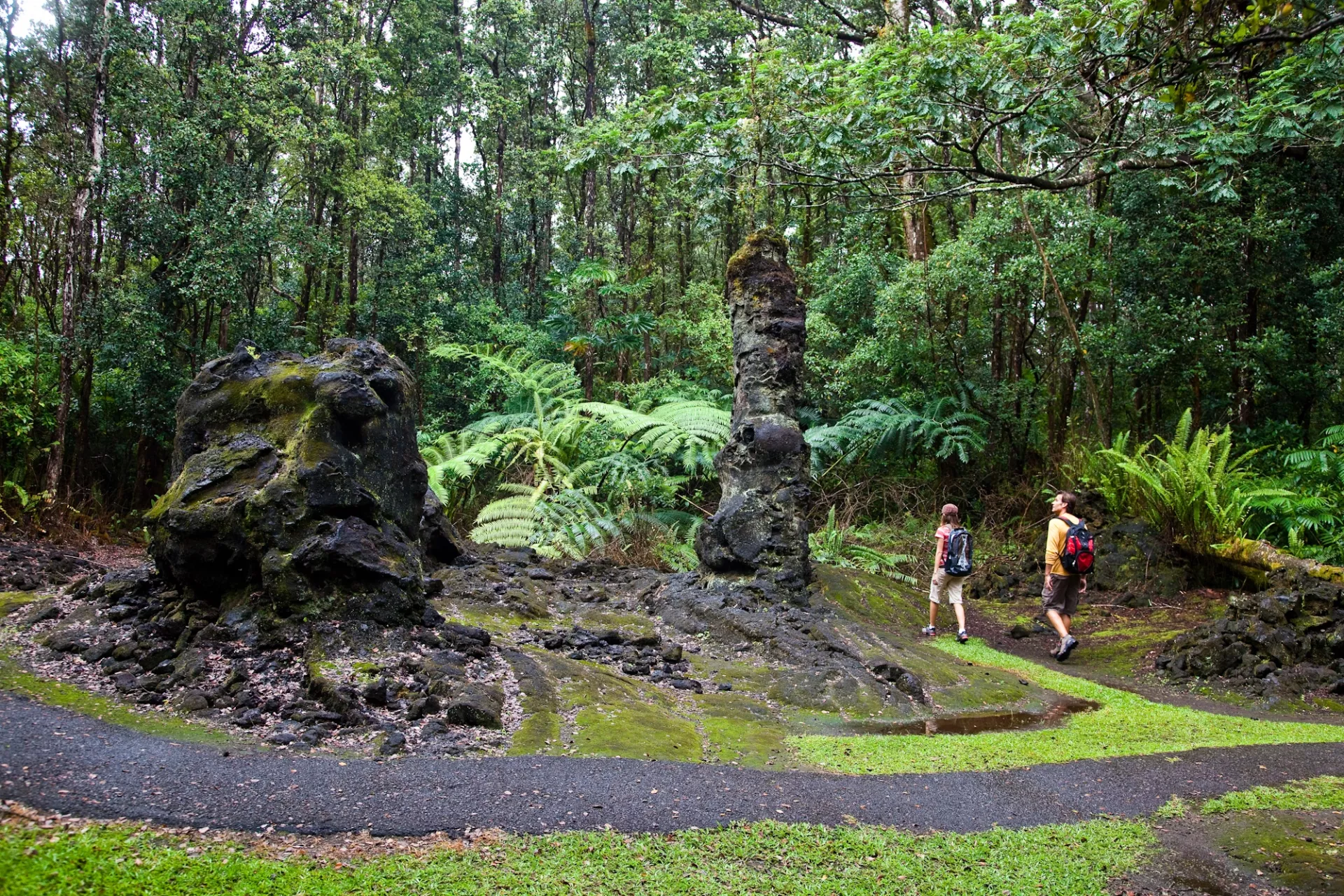 Lava Trees Lava Trees