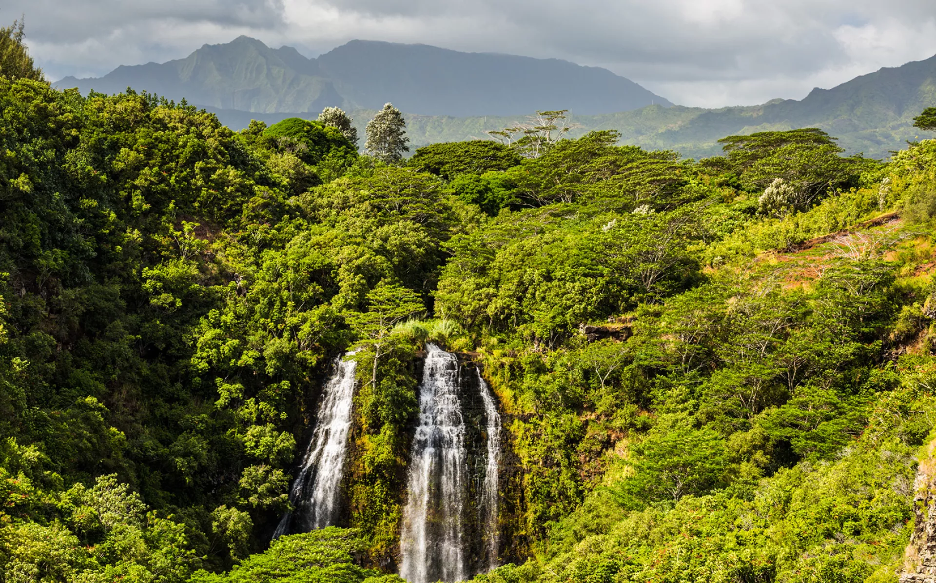 ʻŌpaekaʻa Falls ʻŌpaekaʻa Falls