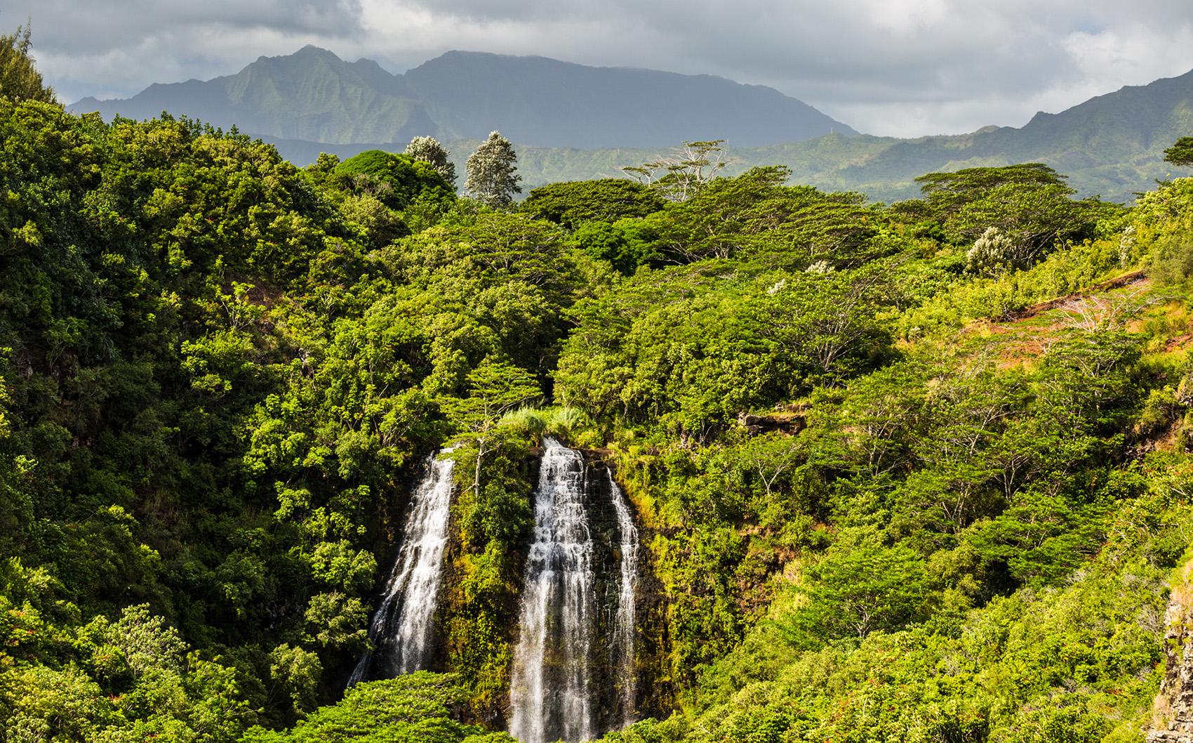 Opaekaa Falls Opaekaa Falls