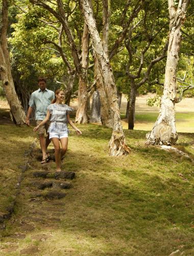 Scenic hiking trail on the Hawaiian island of Lanai