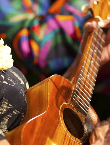 Molokai Musician