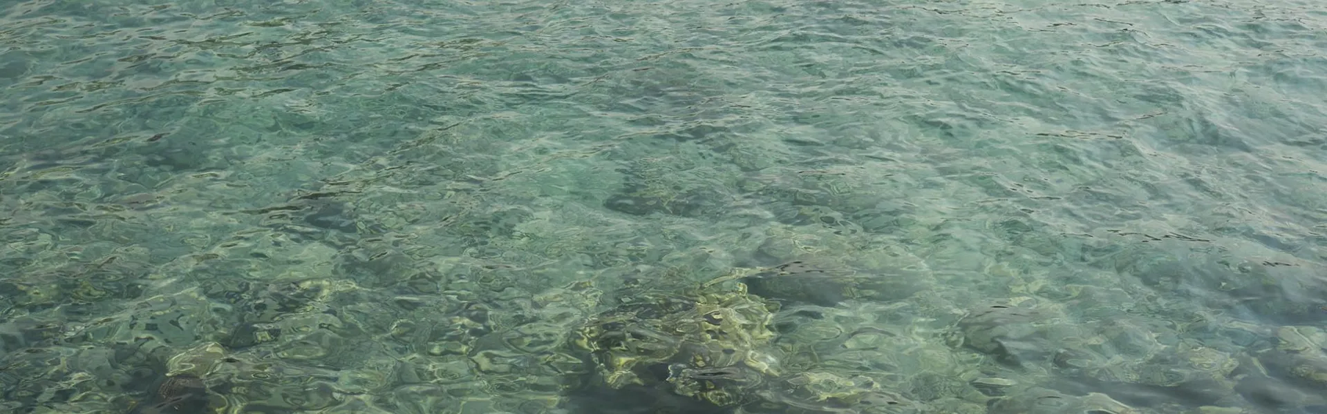 Water and rocks in Kona Island of Hawaii