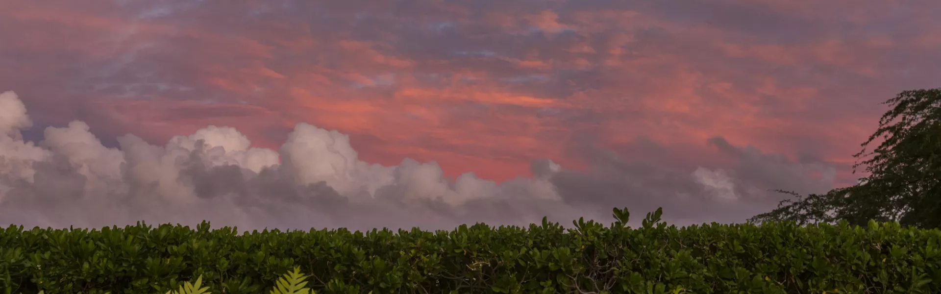 Kohala Sunset