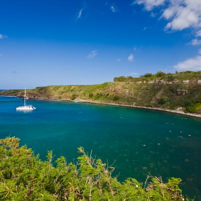 Honolua Bay