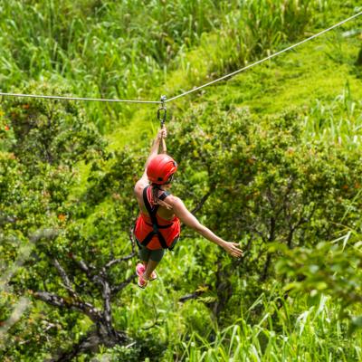 Ziplining & Rappelling