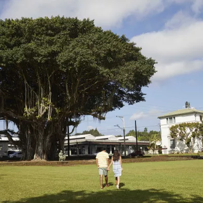 A couple walking on a grassy lawn near a large tree and historic buildings in Downtown Hilo.