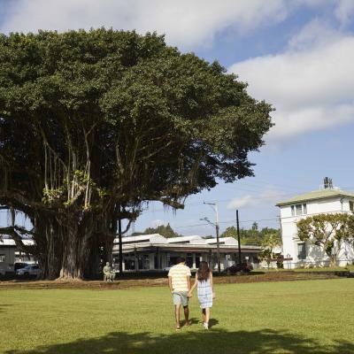 Downtown Hilo