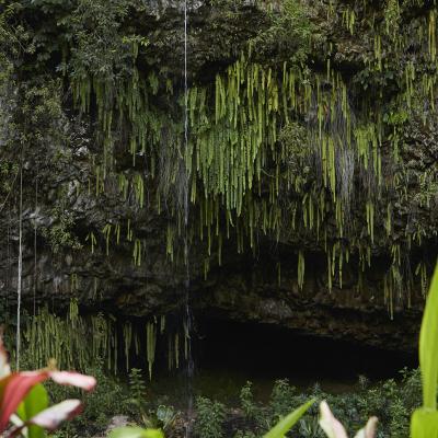 Fern Grotto