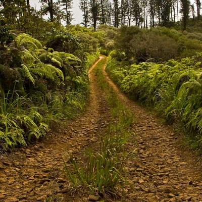 Munro Trail