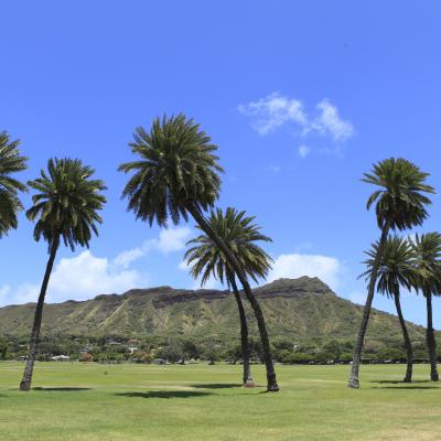 レアヒ(ダイヤモンド・ヘッド)州立自然記念公園 レアヒ(ダイヤモンド・ヘッド)州立自然記念公園