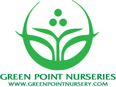 GPN Logo