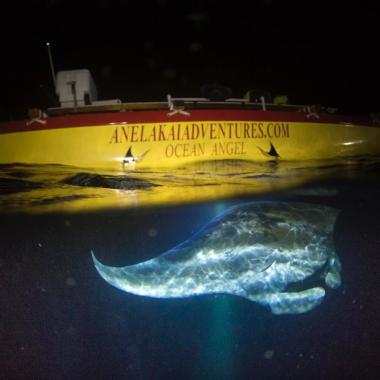 Night Manta Double Hull Canoe Adventure