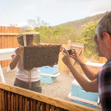 Beekeeping Farm Tour